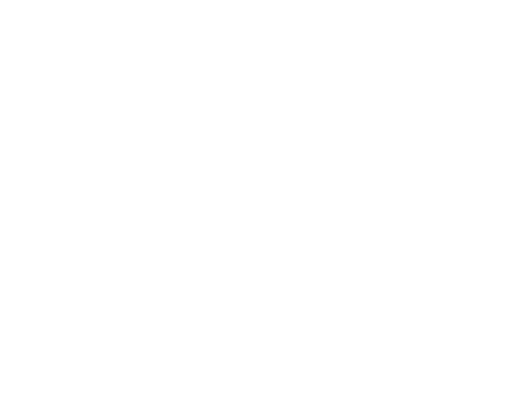 Alwan Events logo