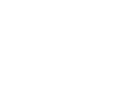 Dimzarts logo