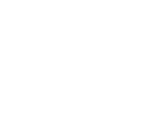 Golden Hawk International logo
