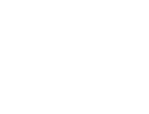 LMD Academy logo