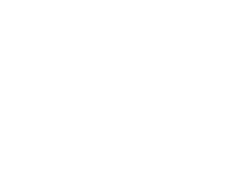 Olabi Sons Group logo