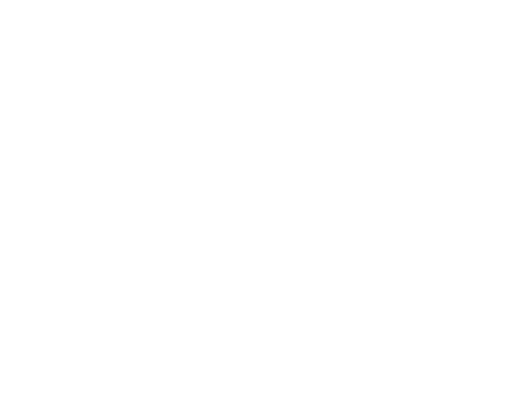 Scandinavian Export logo