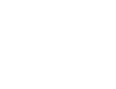 Spicy Bazaar logo